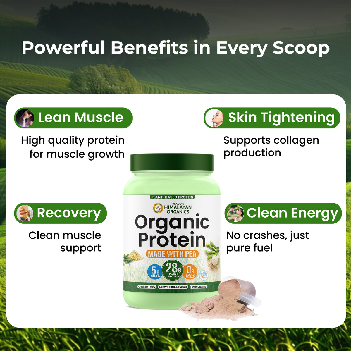 Vlado's Himalayan Organics, Organic Plant Protein, 28g Protein, 5g BCAA - 500g