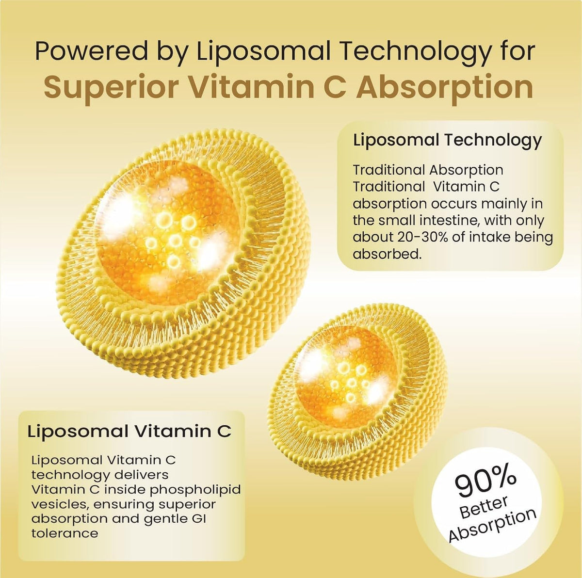 Vlado's Himalayan Organics Liposomal Vitamin C 1000mg | Amla Extract for Immunity | 120 Veg Tablets
