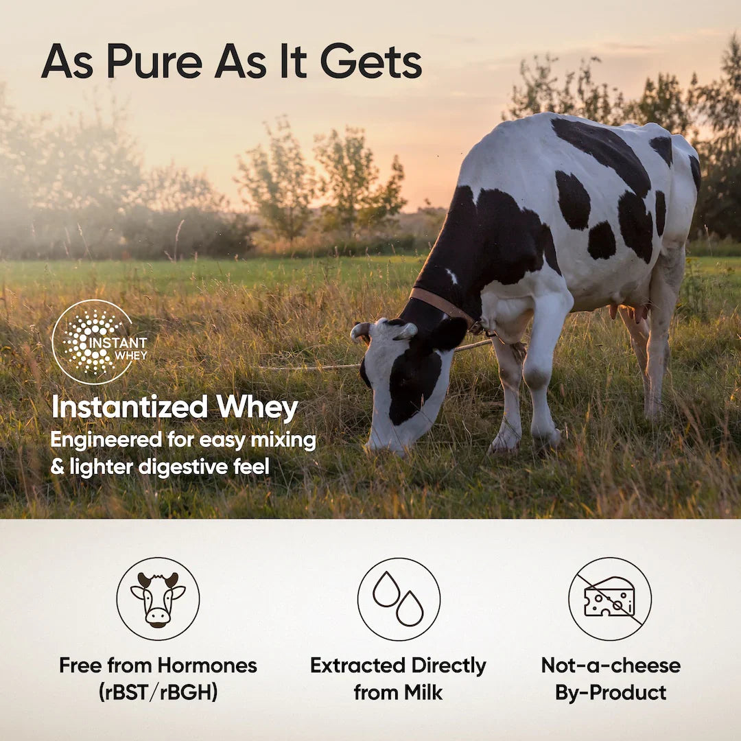 Wellbeing Nutrition Whey Protein Isolate 26g | 4B CFU Probiotics | 2 Kg