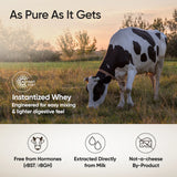 Wellbeing Nutrition Whey Protein Isolate 26g | 4B CFU Probiotics | 2 Kg