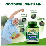 Vlado's Himalayan Organics Glucosamine Chondroitin MSM Tablets - Joint Support Supplement | 120 Vegetarian Tablets