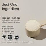 Sports Research Collagen Peptides Powder | Unflavored | 454g (41 Servings)