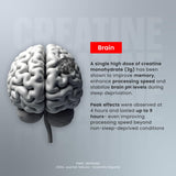 Big Muscles Nutrition Micronised Creatine Monohydrate Powder 155g - 50 Servings