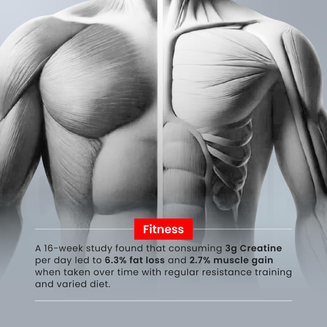 Big Muscles Nutrition Micronised Creatine Monohydrate Powder 155g - 50 Servings