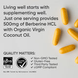 Sports Research Berberine 500mg with Coconut Oil | 90 Softgels