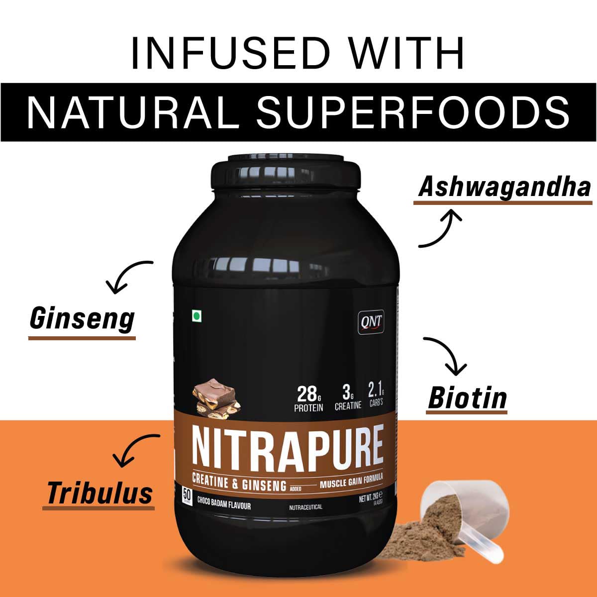 QNT Nitrapure Whey Protein Added Creatine & Ginseng - 1 kg