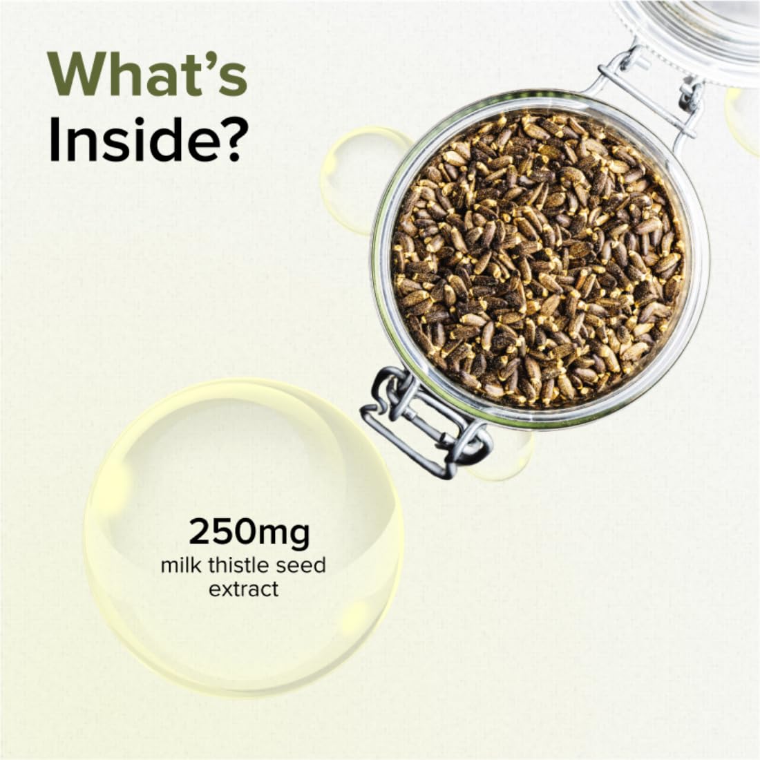 GNC Milk Thistle Herbal Plus - 60 Capsules