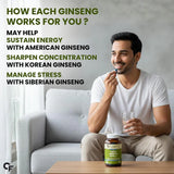 Carbamide Forte Triple Ginseng 1000mg Supplement with Ginkgo Biloba | Energy, Focus & Stamina Support