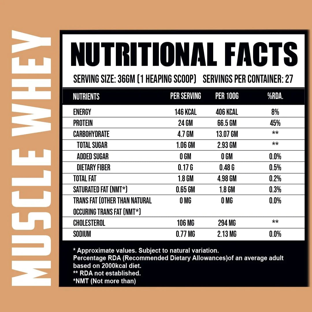Ripped Up Nutrition Muscle Whey | 24g Protein, Low Carb Formula | 907g, 27 Servings