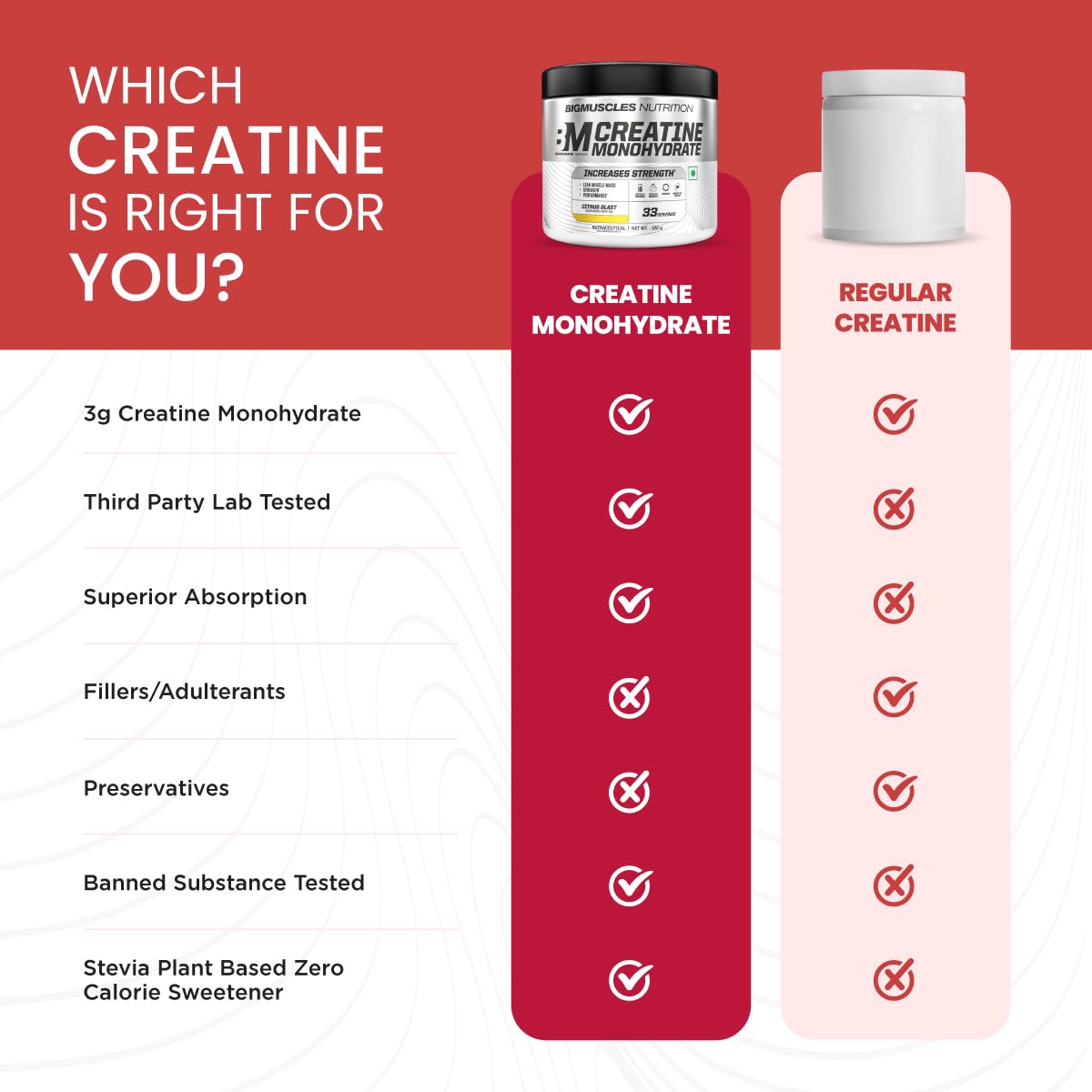 Big Muscles Nutrition Benchmark Series Creatine Monohydrate 100g | 33 Servings