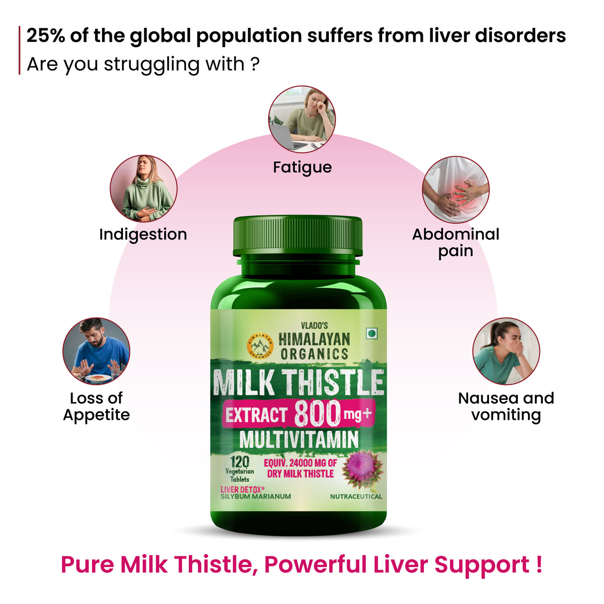 Vlado's Himalayan Organics, Milk Thistle Extract, 800mg - 120 Veg Tablets