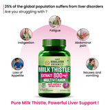 Vlado's Himalayan Organics, Milk Thistle Extract, 800mg - 120 Veg Tablets