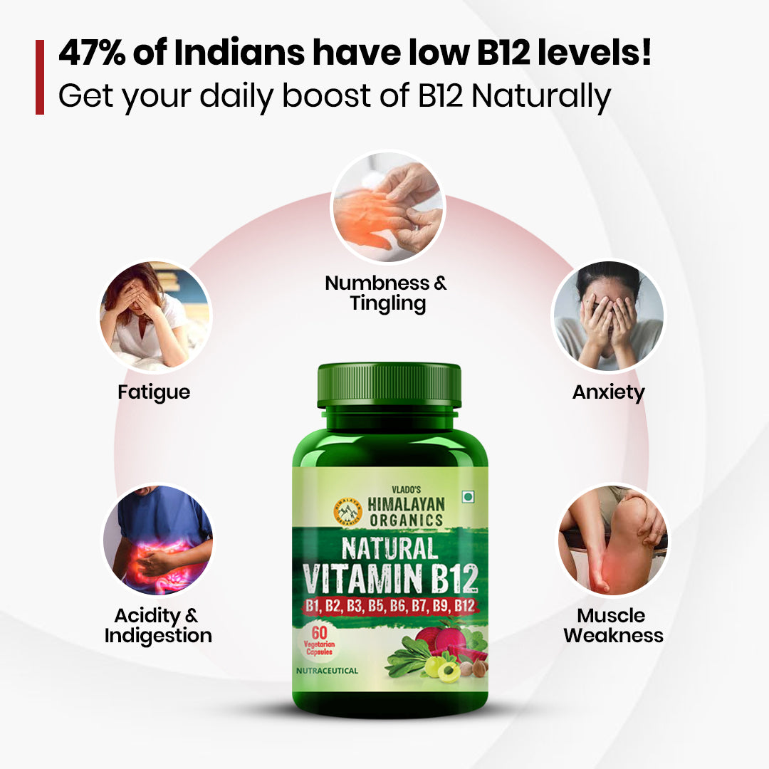 Vlado's Himalayan Organics, Vitamin B12 with B1 B2 B3 B5 B6 B7 B9 Moringa - 60 Veg Capsules