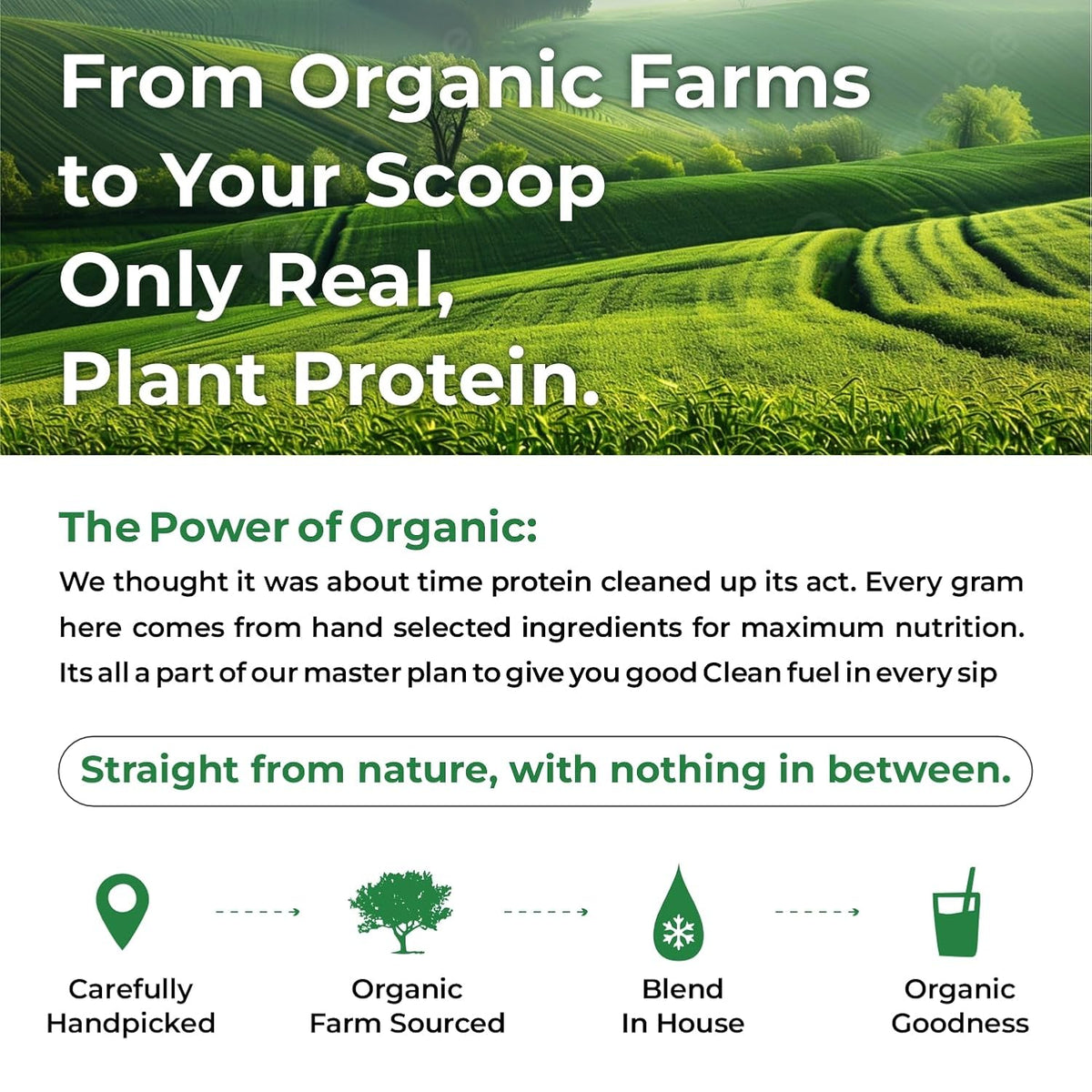 Vlado's Himalayan Organics, Organic Plant Protein, 28g Protein, 5g BCAA - 500g