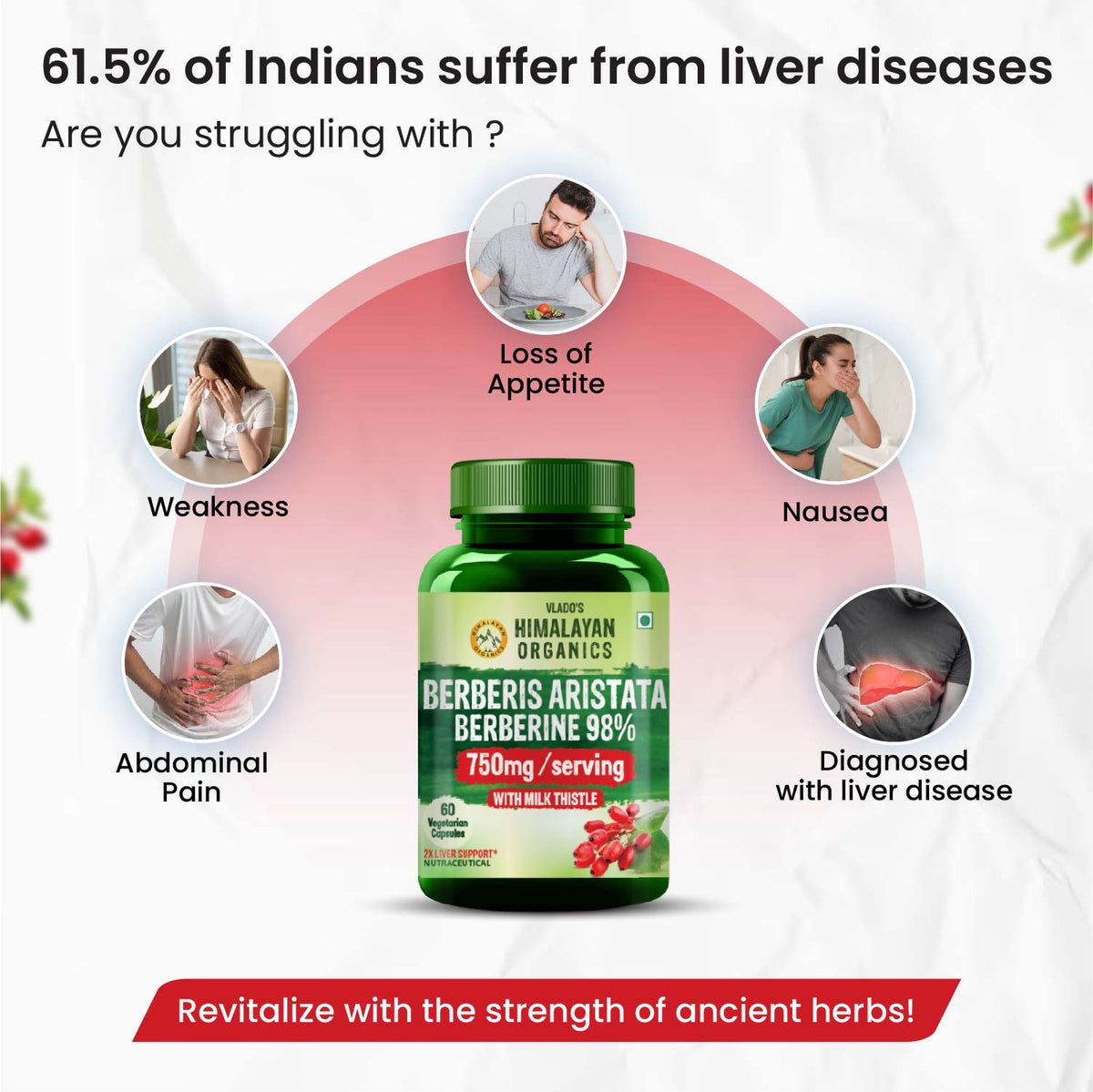 Vlado's Himalayan Organics, Berberine with Milk Thistle, 750mg - 60 Veg Capsules
