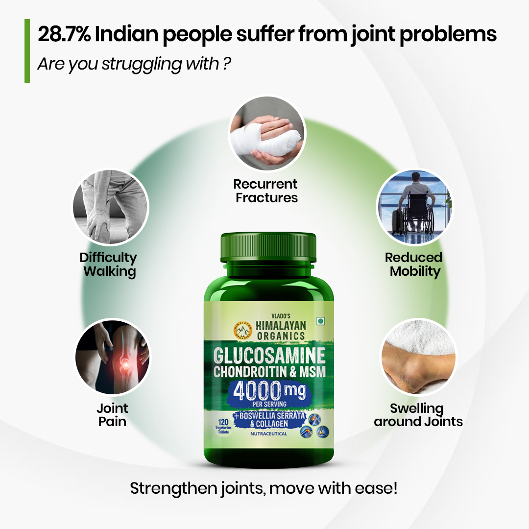 Vlado's Himalayan Organics Glucosamine Chondroitin MSM Tablets - Joint Support Supplement | 120 Vegetarian Tablets