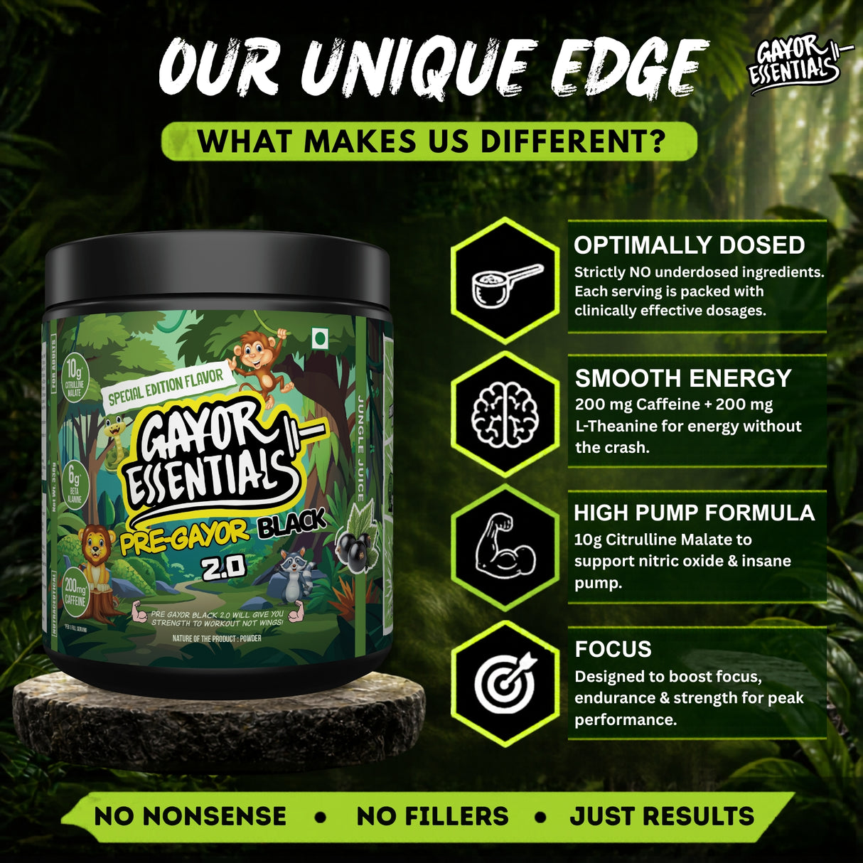 Gayor Essentials Pre Gayor Black 2.0 Pre-Workout Powder 338g | 200mg Caffeine
