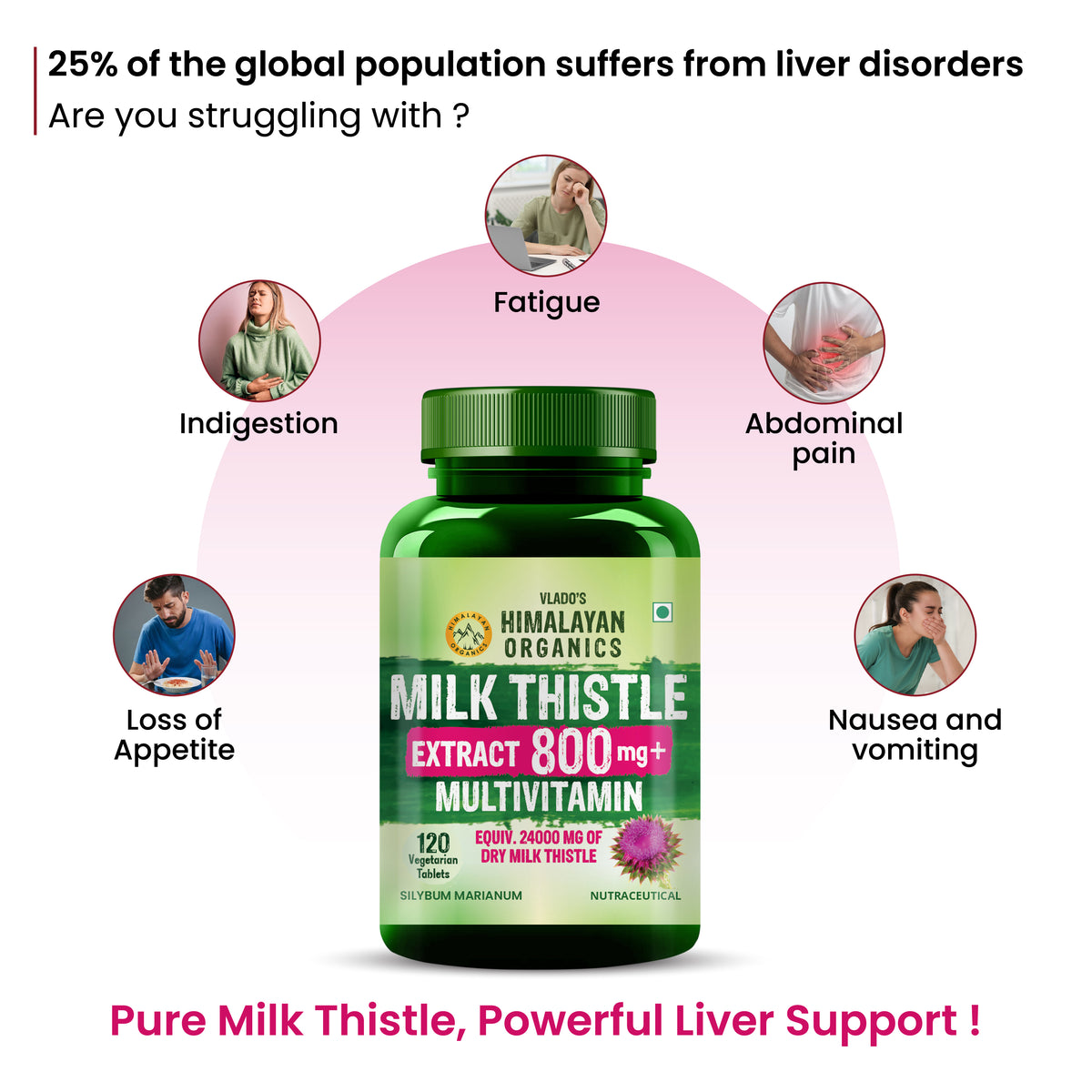 Vlado's Himalayan Organics, Milk Thistle Extract, 800mg - 120 Veg Tablets