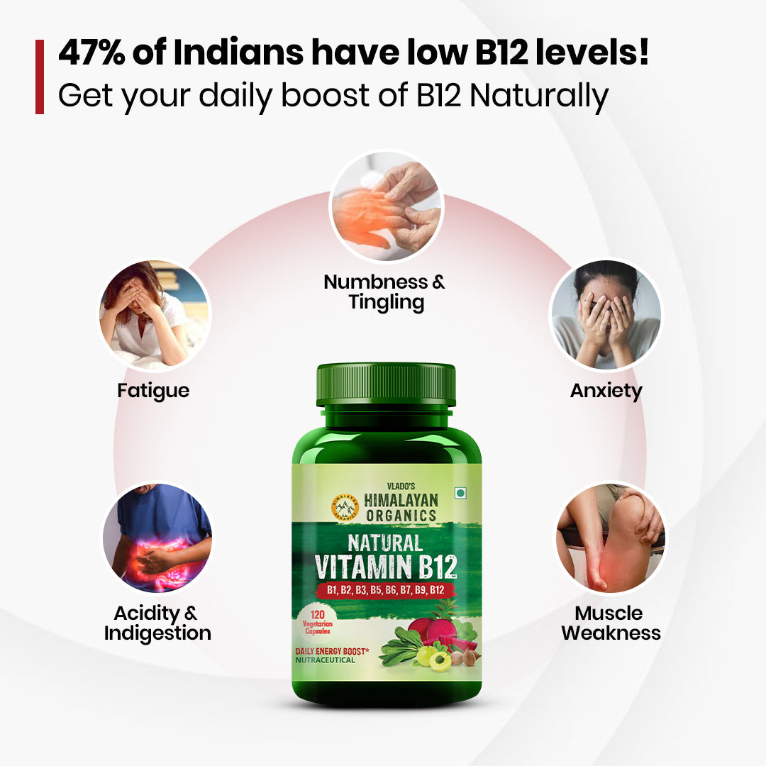 Himalayan Organics, Vitamin B12 with B1 B2 B3 B5 B6 B7 B9 Moringa 