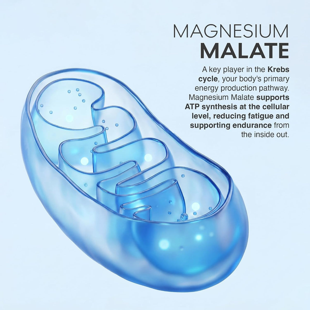 MuscleBlaze Prime Series Magnesium Matrix 440mg | 60 Tablets