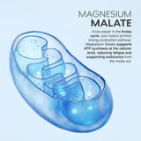 MuscleBlaze Prime Series Magnesium Matrix 440mg | 60 Tablets