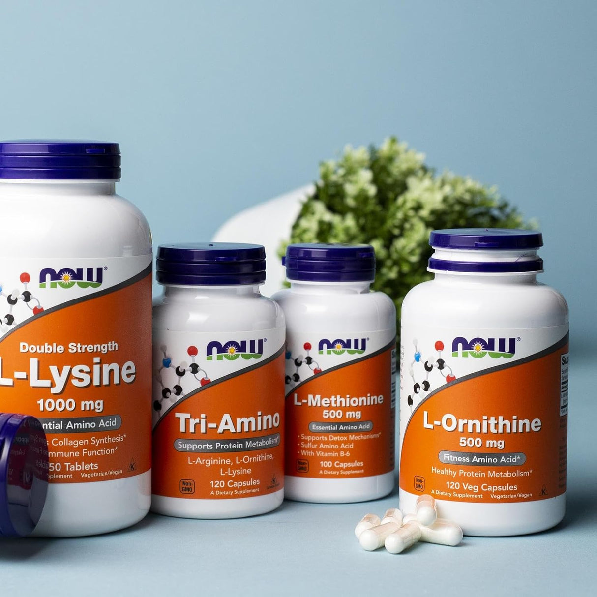 NOW Foods L-Ornithine 500mg (L-Ornithine Hydrochloride) | 120 Veg Capsules