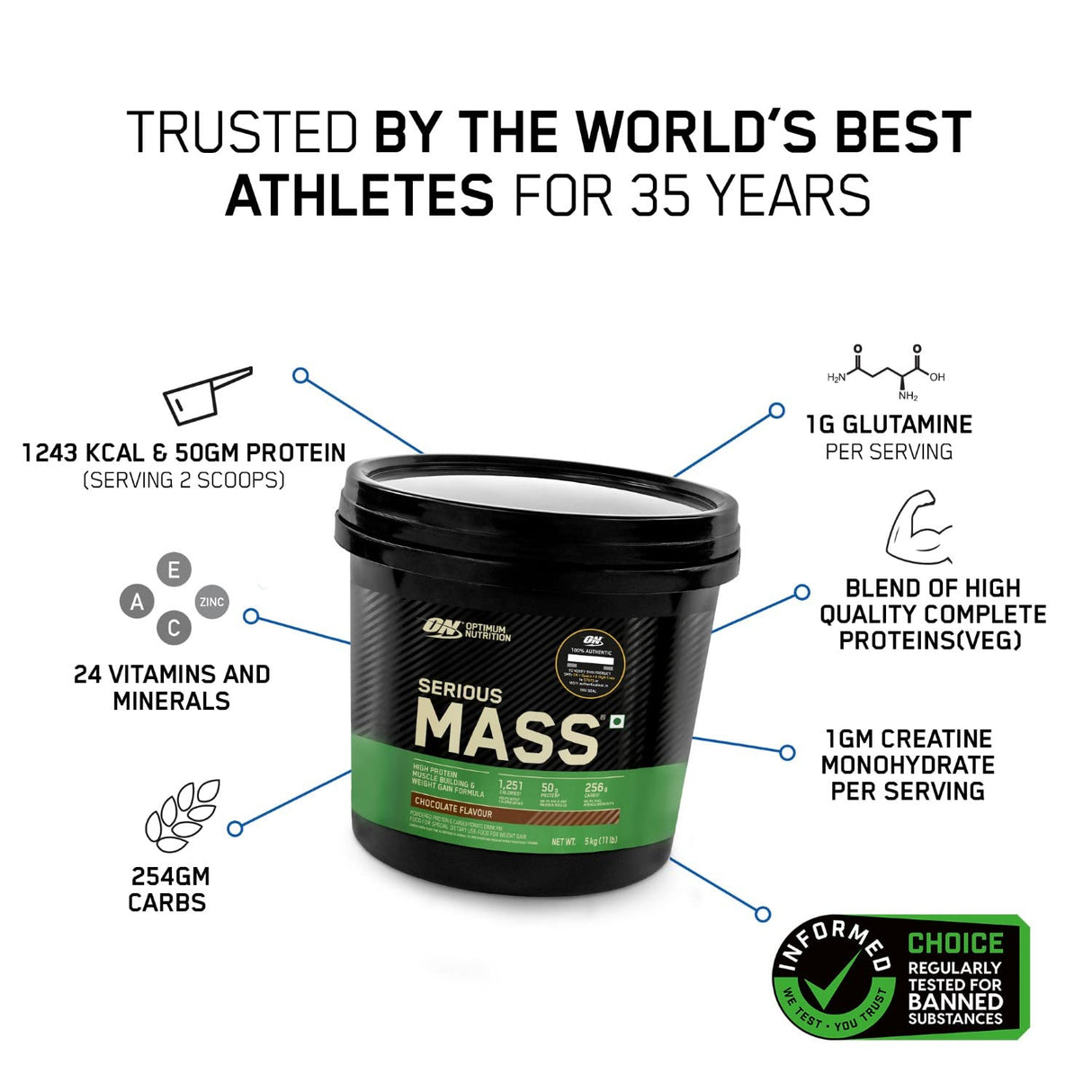 Optimum Nutrition (ON) Serious Mass - 11 Lbs