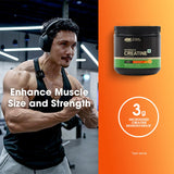 Optimum Nutrition (ON) Micronized Creatine Powder - 83 Servings