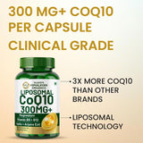 Vlado's Himalayan Organics, CoQ10, 300mg - 30 Veg Capsules