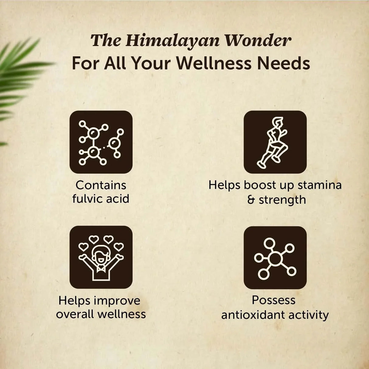 Neuherbs Himalayan Shilajit - 20 Gm