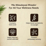 Neuherbs Himalayan Shilajit - 20 Gm