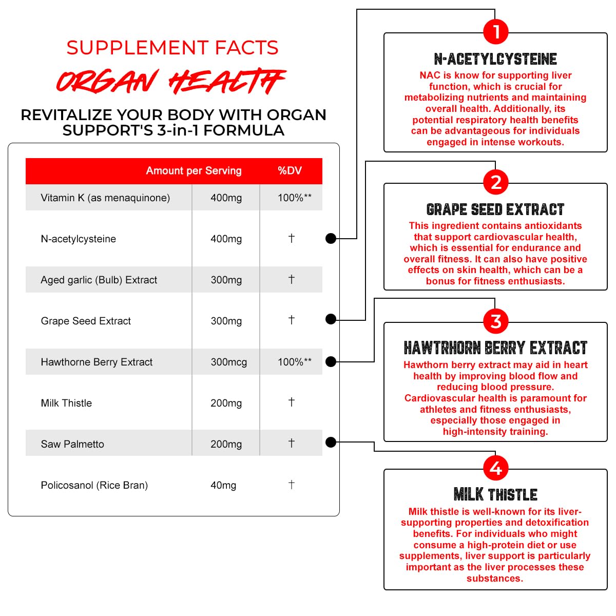 Enhanced Labs Organ Health Supplement – 120 Capsules | 30 Servings