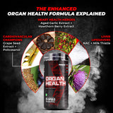 Enhanced Labs Organ Health Supplement – 120 Capsules | 30 Servings