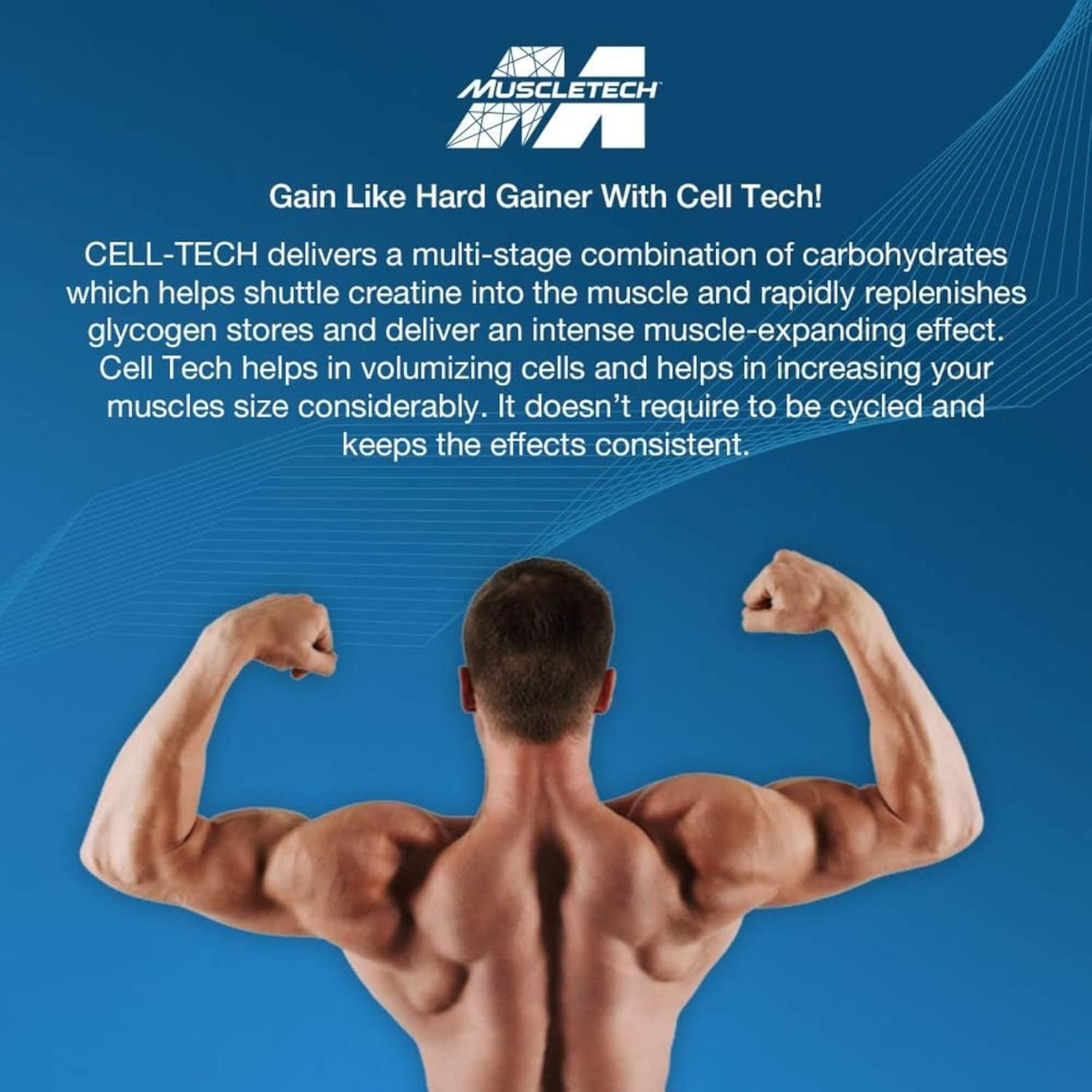 MuscleTech Cell-Tech Creactor | Creatine HCl & Free-Acid Creatine 274g | 120 Servings