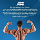 MuscleTech Cell-Tech Creactor | Creatine HCl & Free-Acid Creatine 274g | 120 Servings