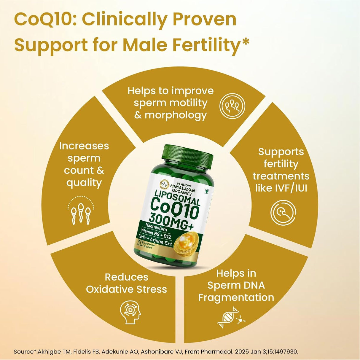 Vlado's Himalayan Organics, CoQ10, 300mg - 30 Veg Capsules