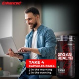 Enhanced Labs Organ Health Supplement – 120 Capsules | 30 Servings