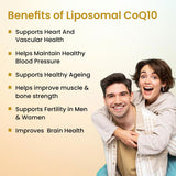 Vlado's Himalayan Organics, CoQ10, 300mg - 30 Veg Capsules