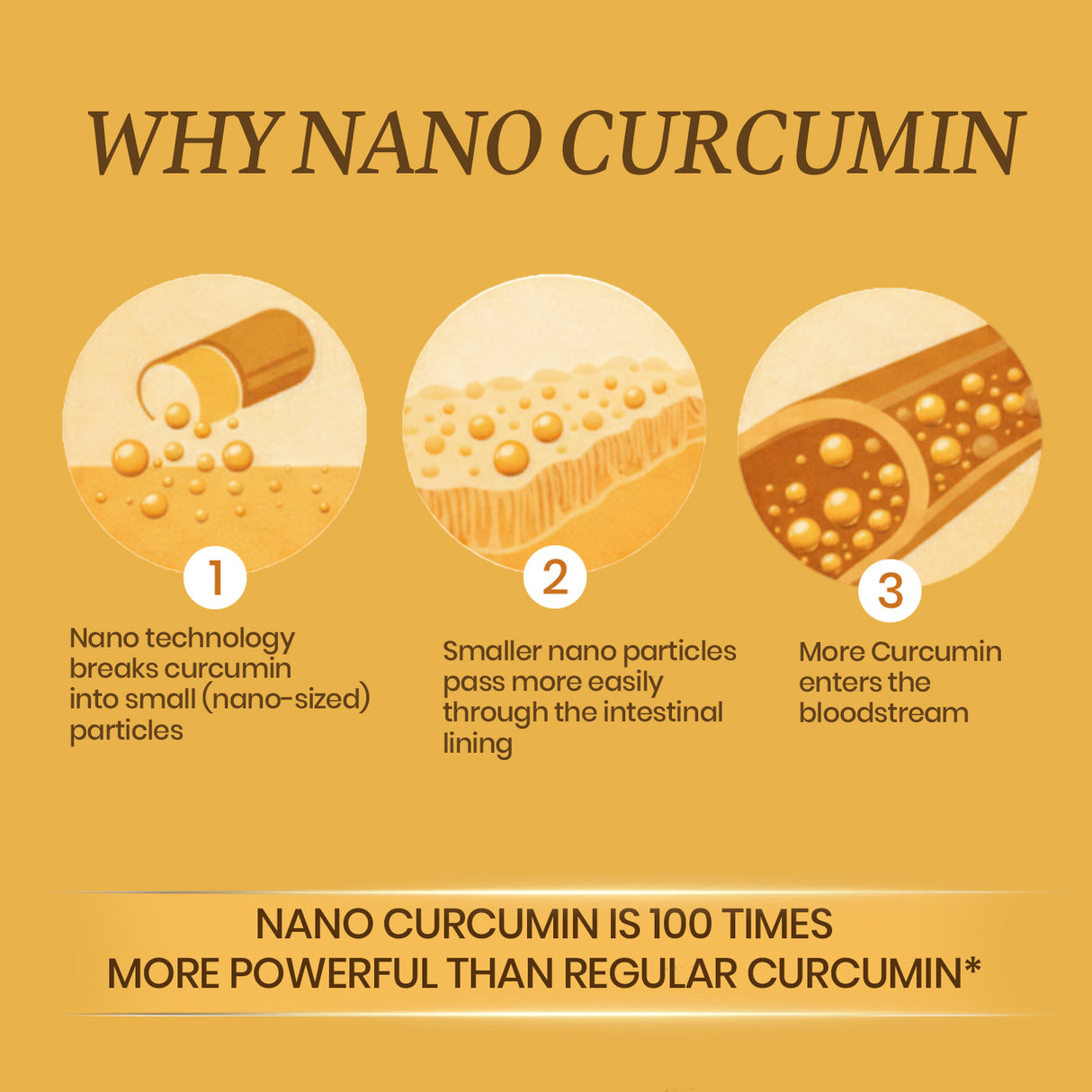 Vlado's Himalayan Organics Curcumin 1600mg with Piperine | 60 Capsules | Joint Support Supplement