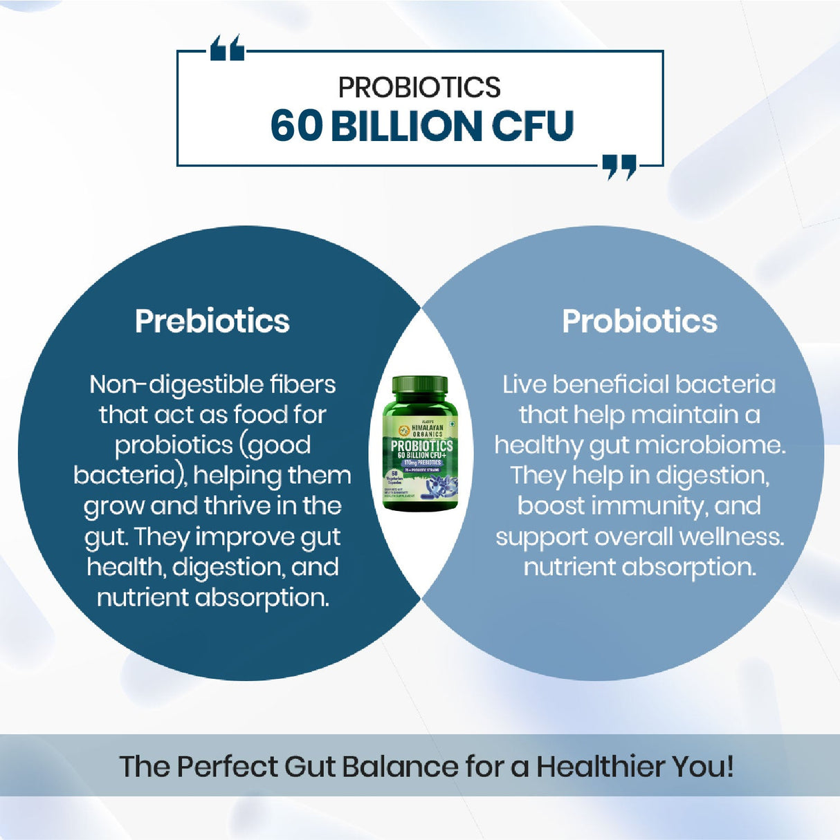 Vlado's Himalayan Organics, Probiotics 60 Billion CFU with Prebiotics 170mg - 60 Veg Capsules