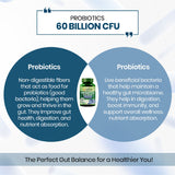 Vlado's Himalayan Organics, Probiotics 60 Billion CFU with Prebiotics 170mg - 60 Veg Capsules