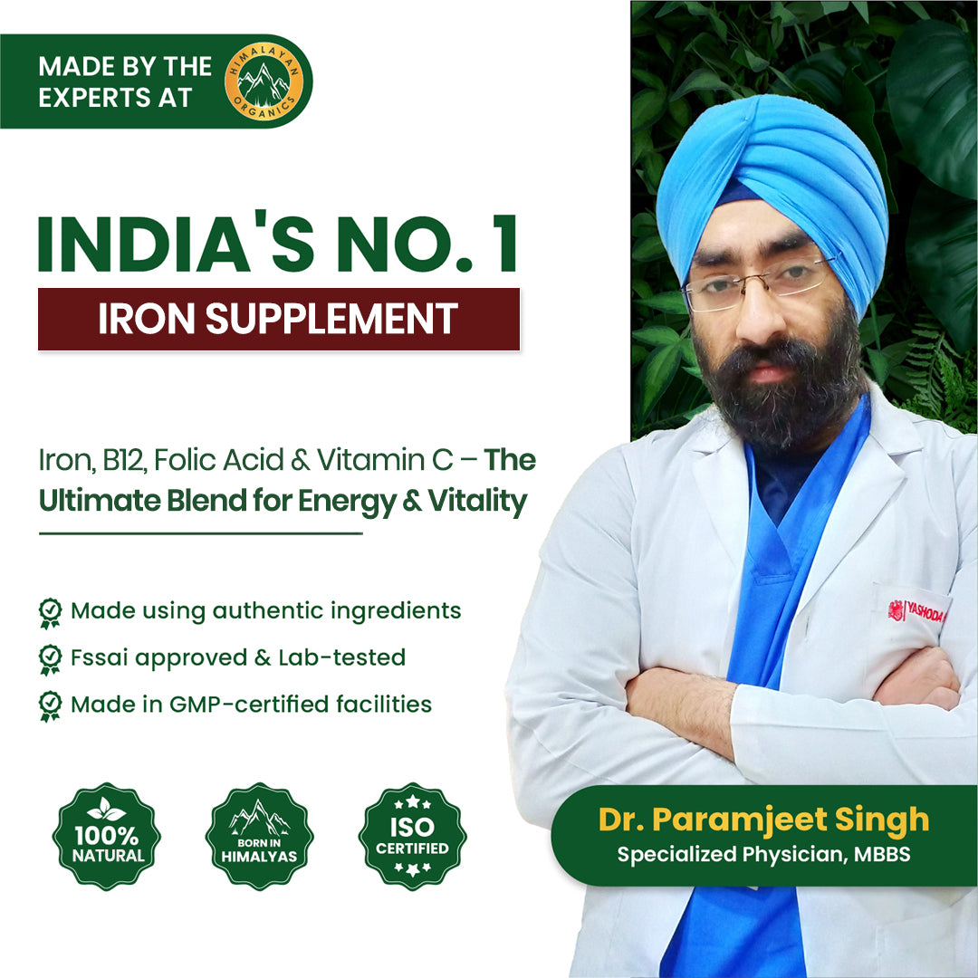 Vlado's Himalayan Organics, Plant Based Iron with Folate - 90 Capsules