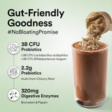 Wellbeing Nutrition Plant Protein 500 Gm