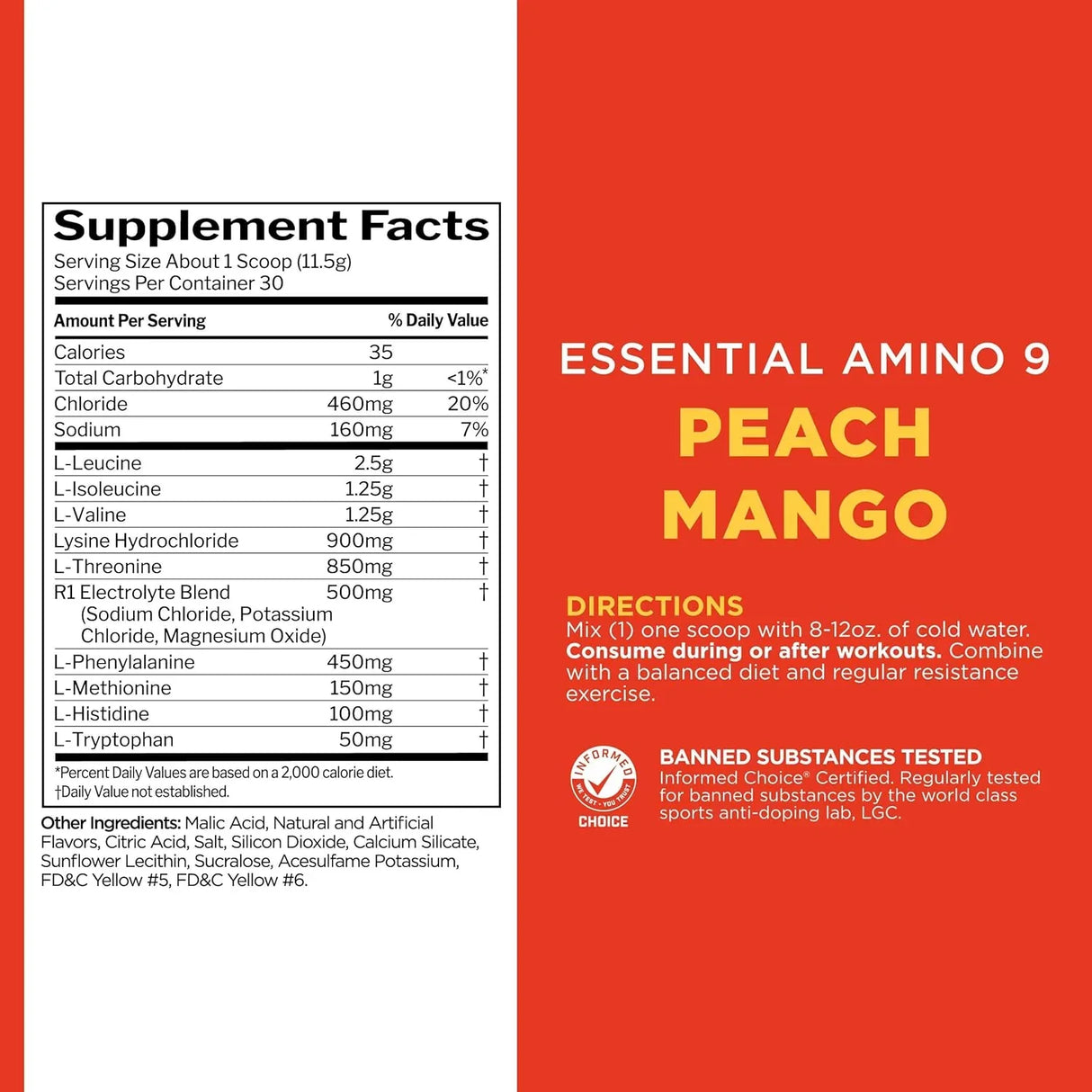 RULE1 Essential Amino 9 Recovery & Hydration Support - 30 Servings