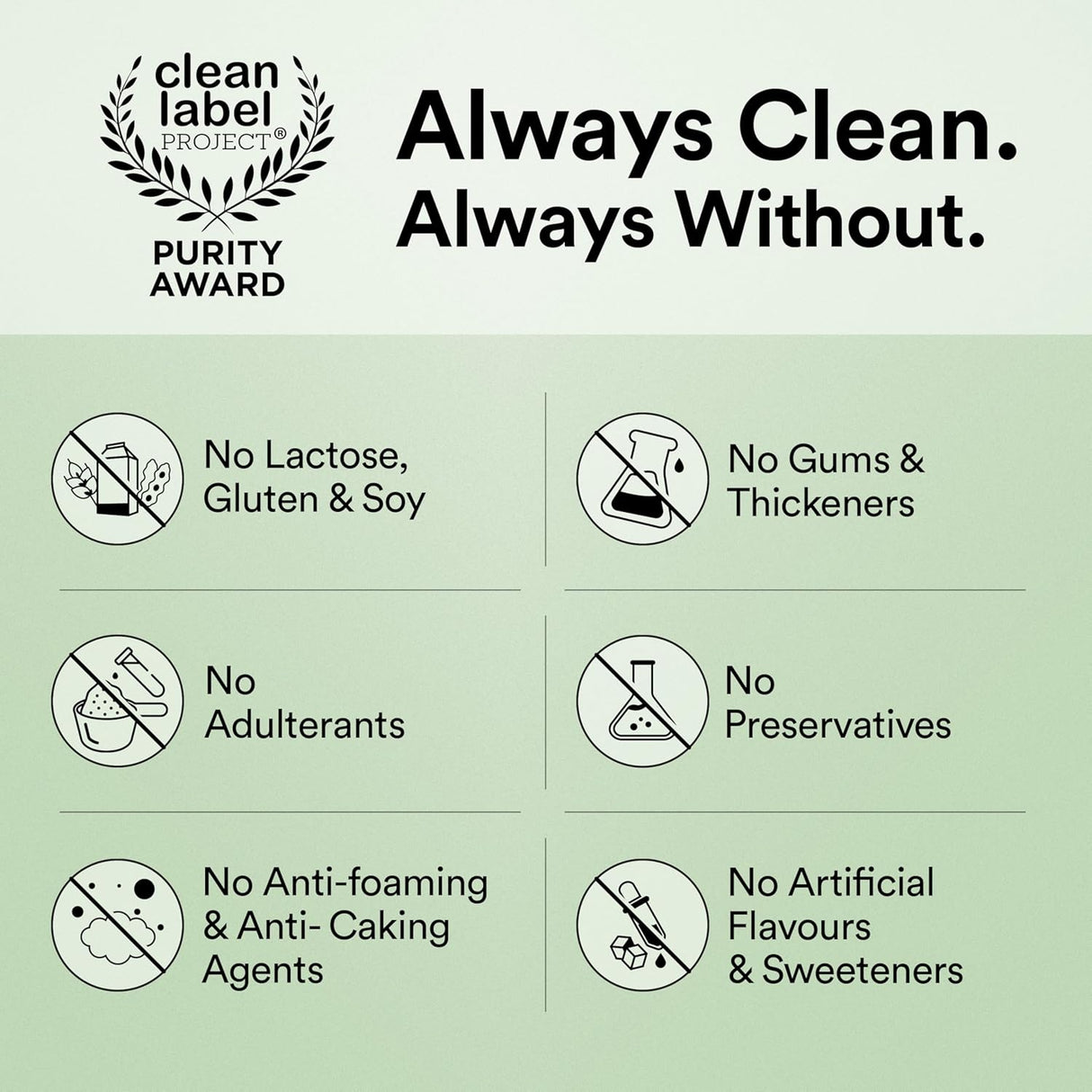 Wellbeing Nutrition Plant Protein 500 Gm