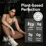 Wellbeing Nutrition Plant Protein 500 Gm