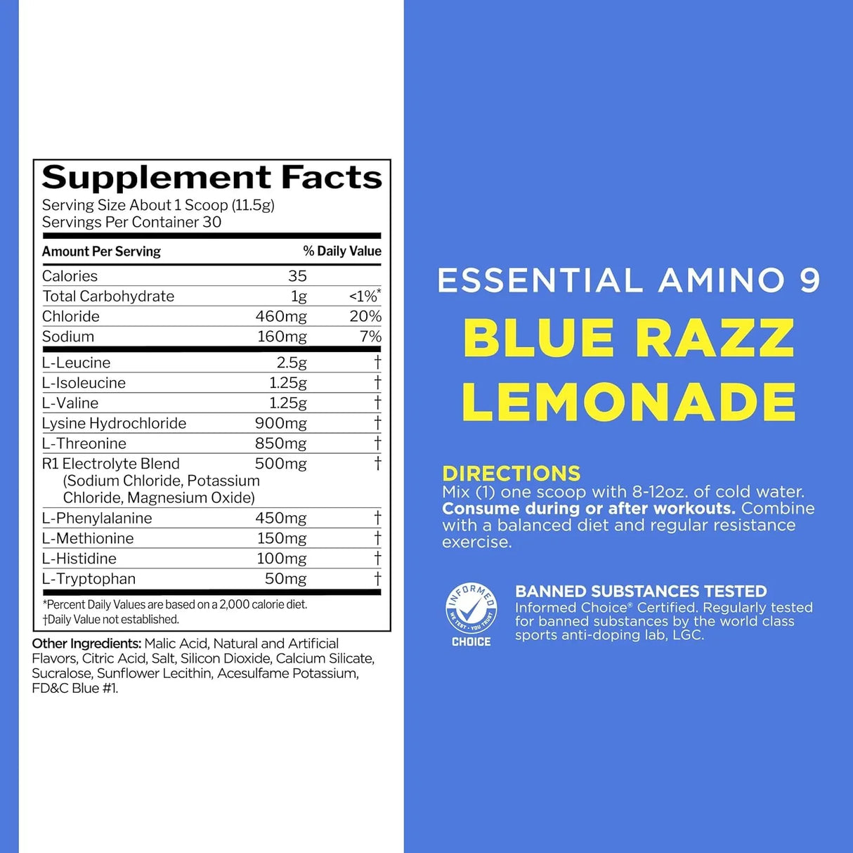 RULE1 Essential Amino 9 Recovery & Hydration Support - 30 Servings