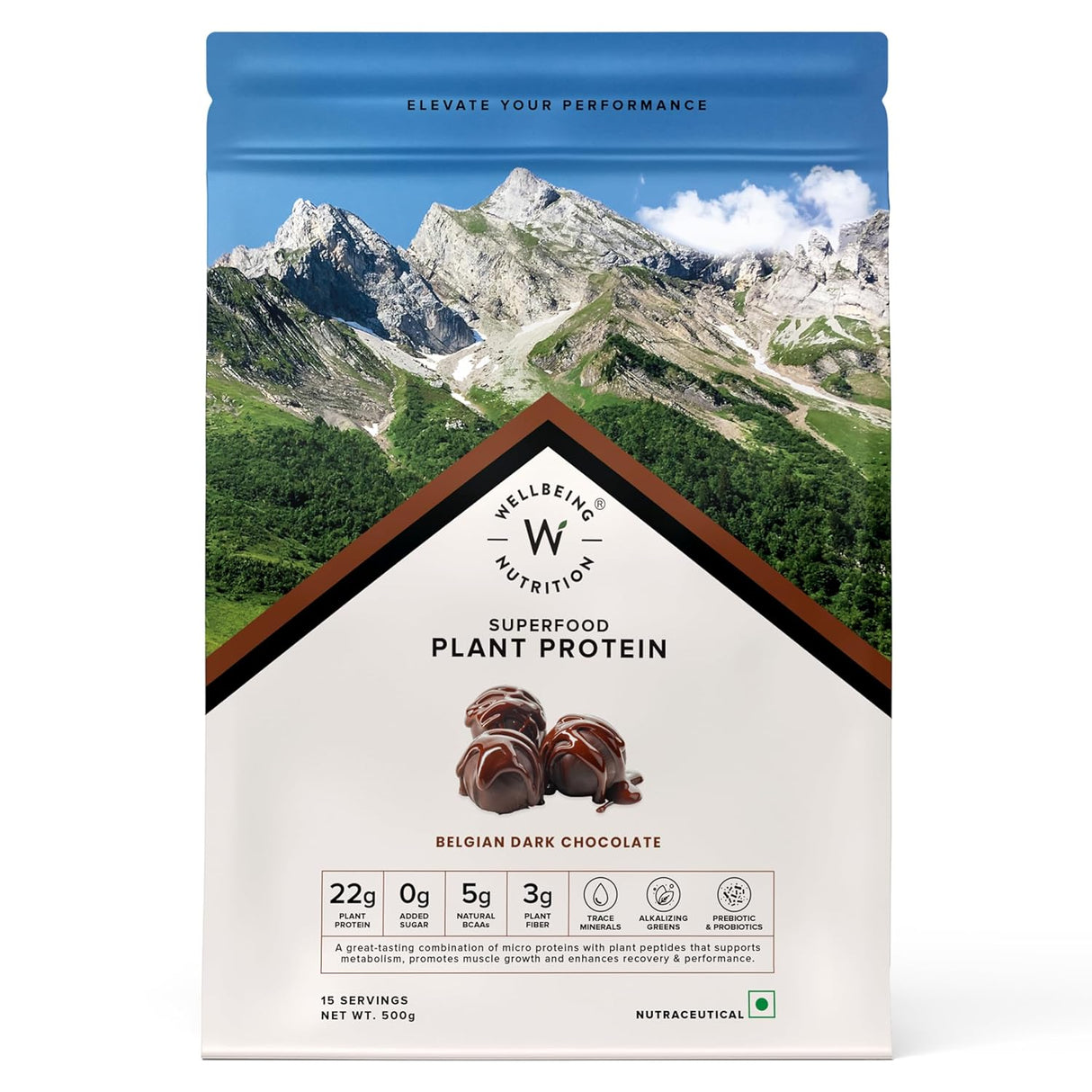 Wellbeing Nutrition Plant Protein 500 Gm