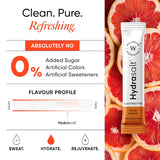 Wellbeing Nutrition HydraSalt Electrolyte Drink with Zero Added Sugar | 5 Electrolytes & 3 Vitamins for Instant Hydration, Energy, Performance & Recovery | 90g, Pack of 15