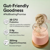 Wellbeing Nutrition Plant Protein 500 Gm